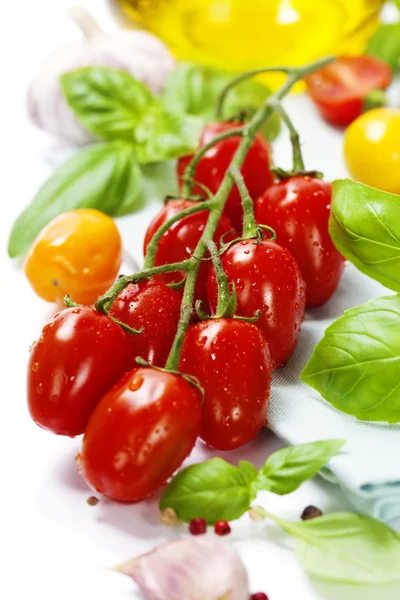 Verse tomaten — Stockfoto