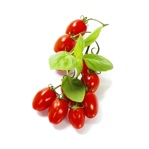 Fresh tomatoes — Stock Photo, Image