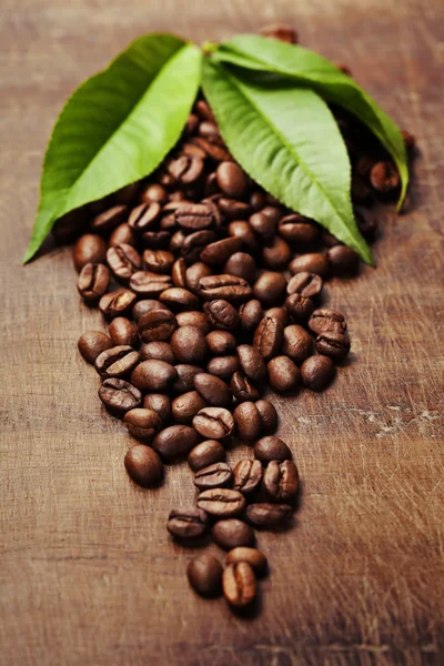 Coffee beans — Stock Photo, Image