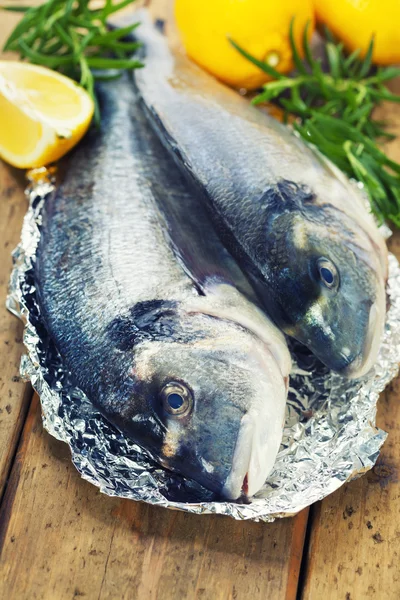 Färska dorada fisk — Stockfoto