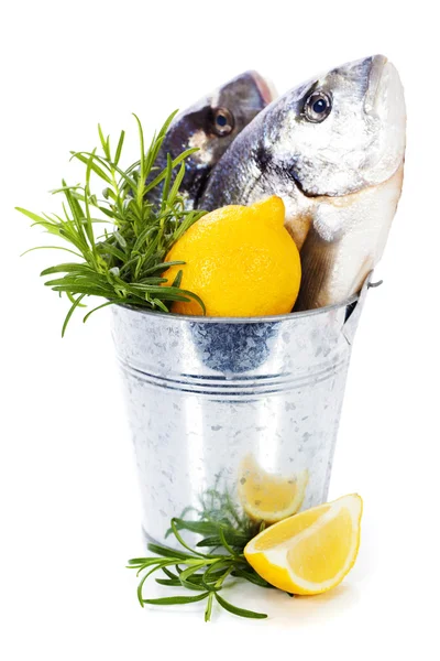 Ryby čerstvé dorada — Stock fotografie