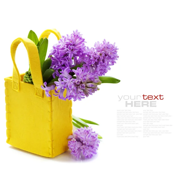 Vackra hyacinter — Stockfoto