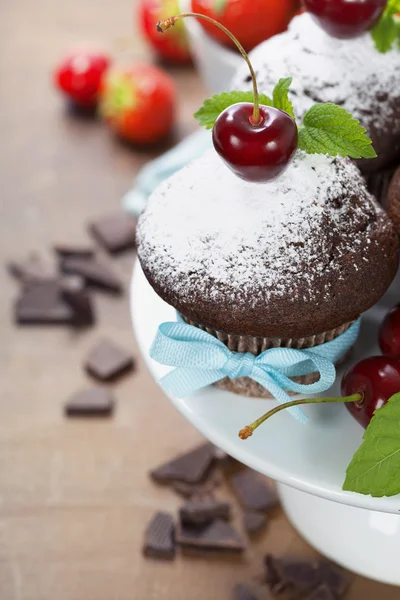 Świeże czekoladowe babeczki — Zdjęcie stockowe