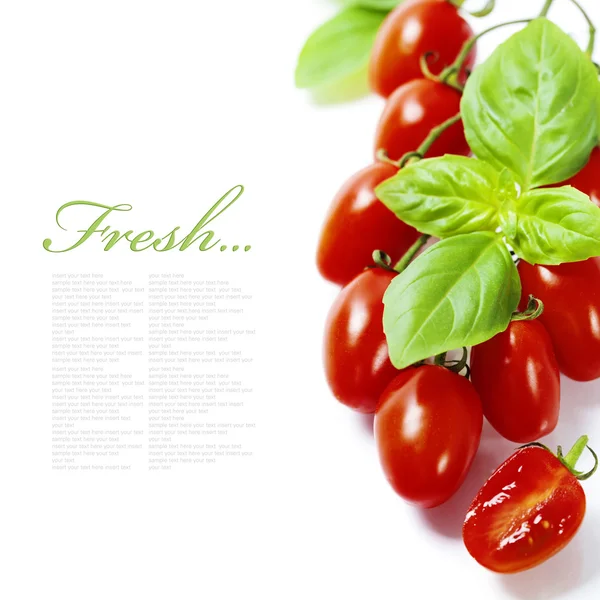 Tomates frescos — Foto de Stock