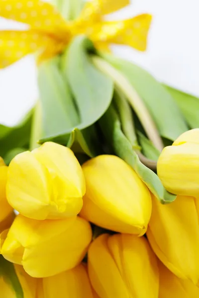 Gele tulpen — Stockfoto