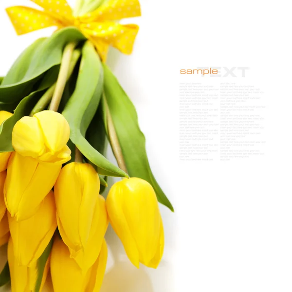 Gele tulpen — Stockfoto