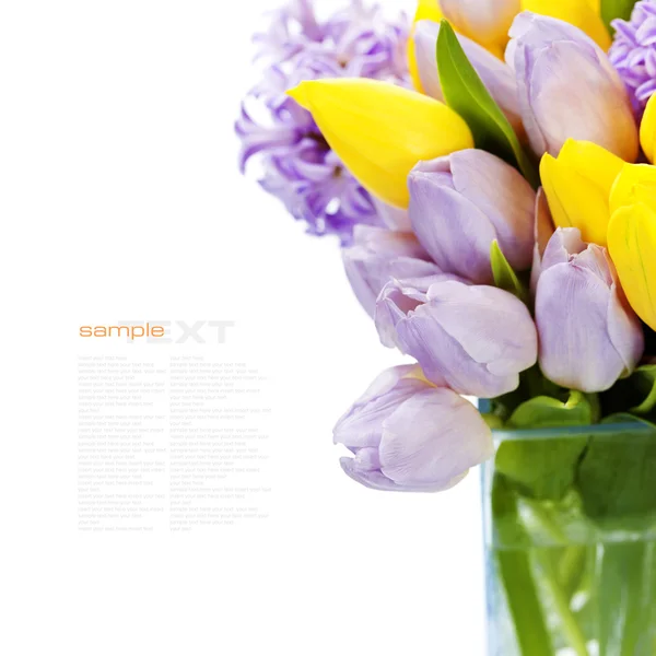 Beautiful spring flowers — Stock Photo, Image