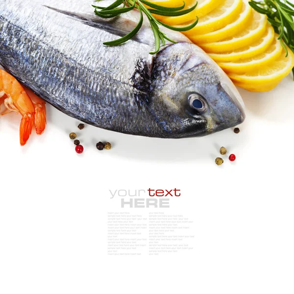 Fresh seafood — Stock Photo, Image