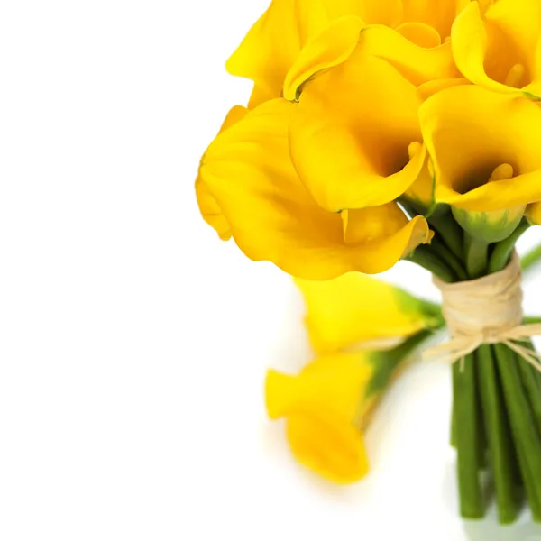 Beautiful Calla Lilly Bouquet — Stock Photo, Image