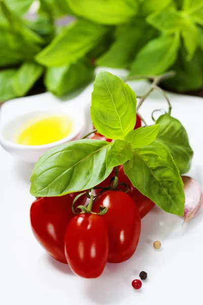 Tomates frescos e manjericão — Fotografia de Stock