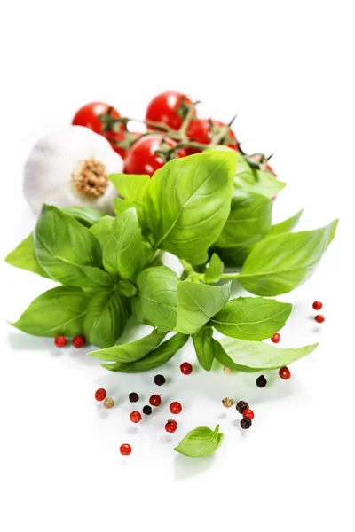 Basil and fresh vegetables — Stock Photo, Image