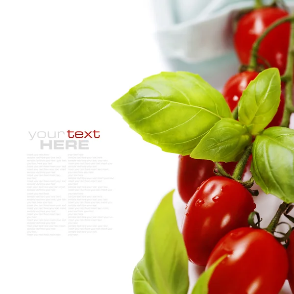 Frische Tomaten — Stockfoto