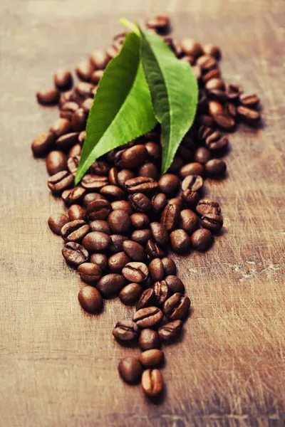 Coffee beans — Stock Photo, Image