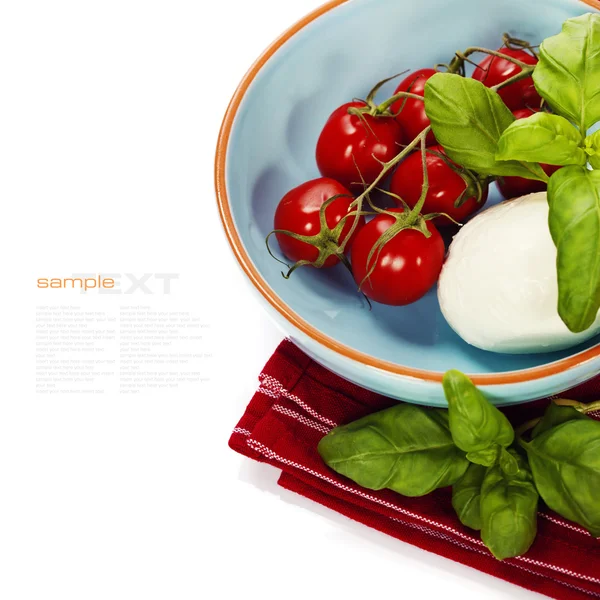 Caprese - Italian salad with tomatos and mozarella cheese — Stock Image Caprese - Italian salad with tomatos and mozarella cheese Royalty Free Stock Photos