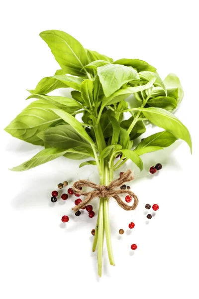 Basil leaves — Stock Photo, Image