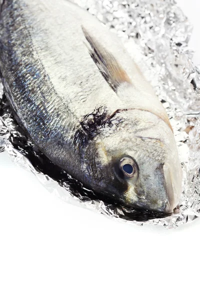 Frischer Dorada-Fisch — Stockfoto