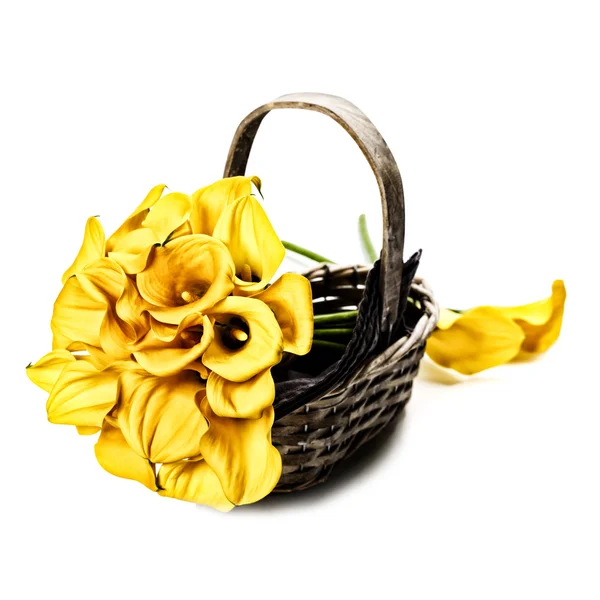 Piękne lilie calla bukiet — Zdjęcie stockowe