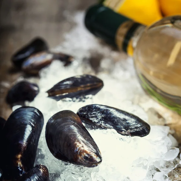 Cozze — Foto Stock