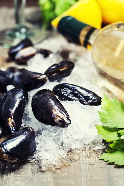 Mejillones — Foto de Stock