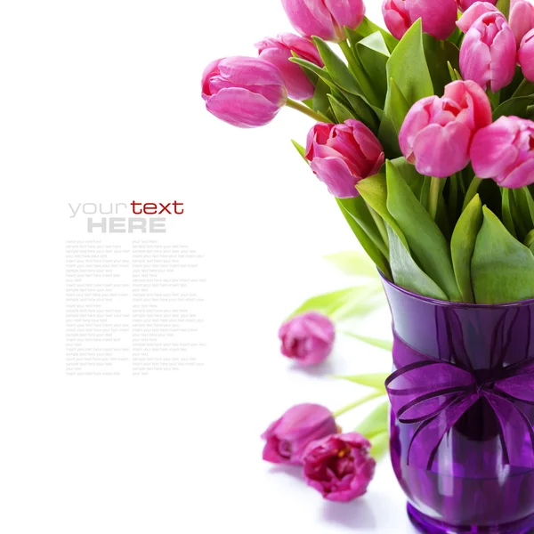 Valentinstag der rosa Tulpen — Stockfoto