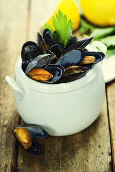 Mussels — Stock Photo, Image