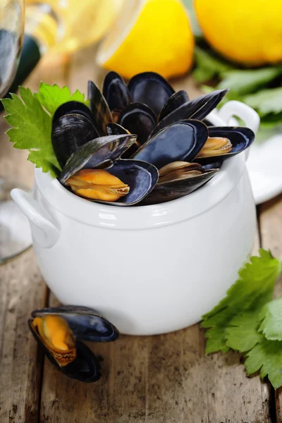 Mussels — Stock Photo, Image