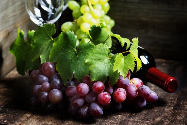 Vinho e uva — Fotografia de Stock