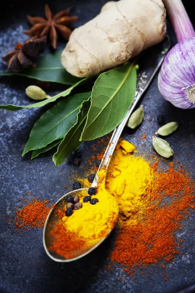 Spices and herbs — Stock Photo, Image