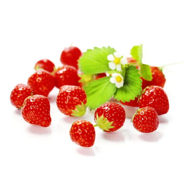 Erdbeeren — Stockfoto