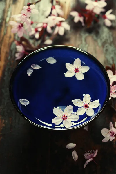 Flores de primavera en tazón azul — Foto de Stock