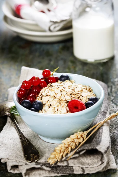 燕麦和浆果一起吃早餐 — 图库照片