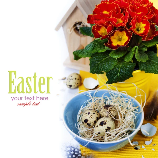 Easter still life — Stock Photo, Image