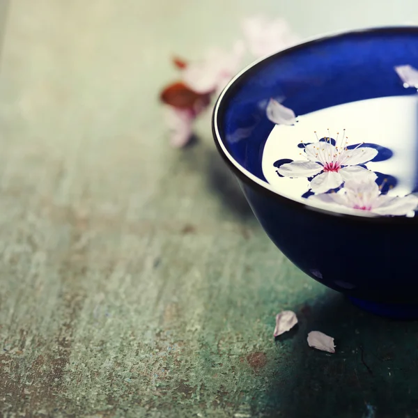Fleurs de printemps dans un bol bleu — Photo