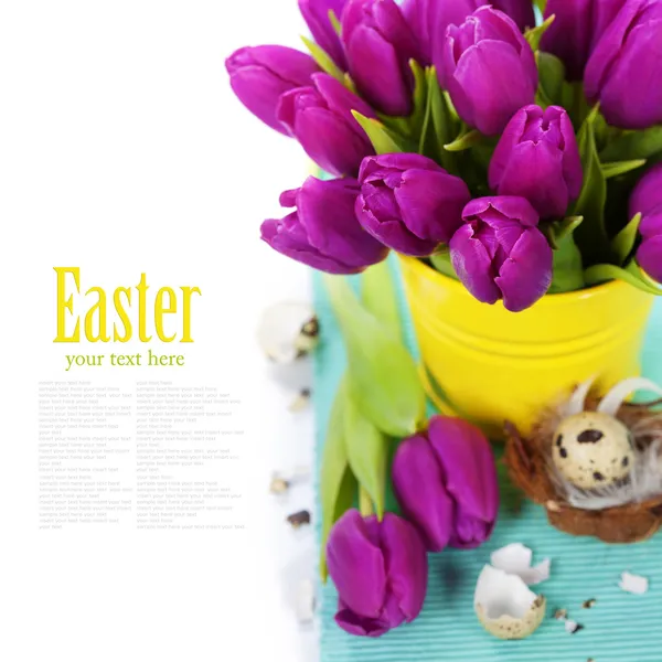 Easter tulips — Stock Photo, Image