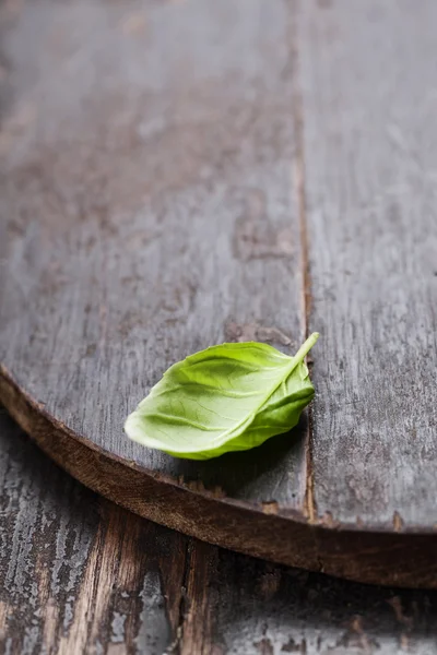 Albahaca fresca — Foto de Stock