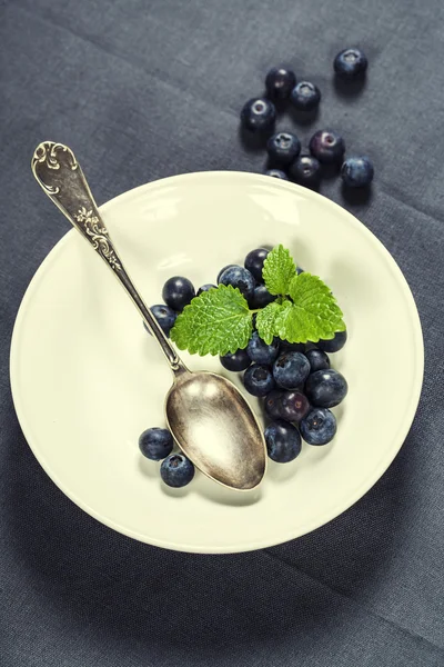 Blaubeeren — Stockfoto