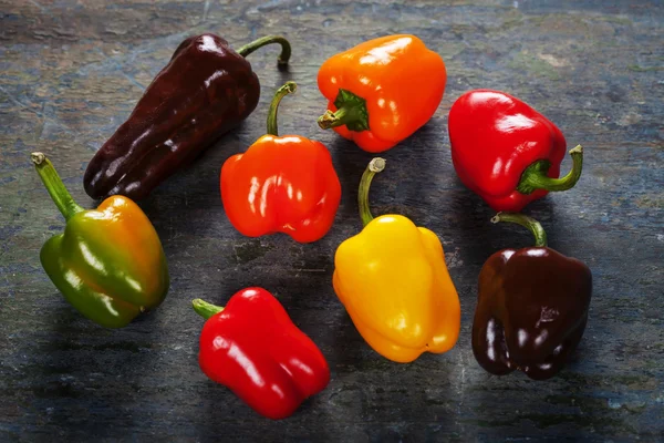 Färgade paprika — Stockfoto