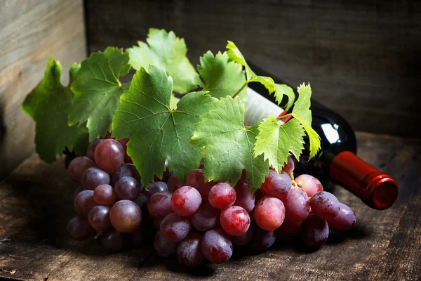 Vinho e uva — Fotografia de Stock