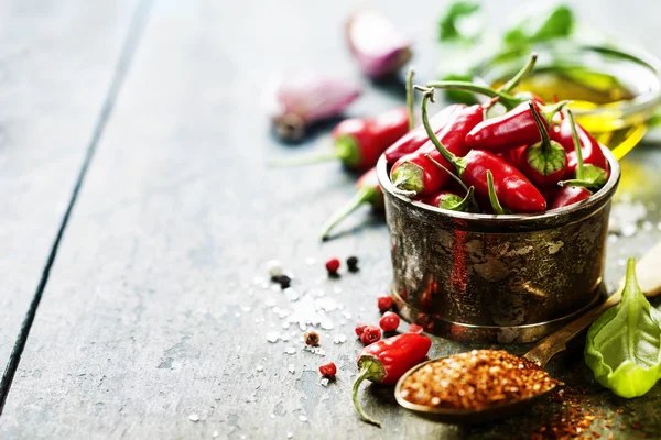Chili peppers with herbs and spices — Stock Photo, Image