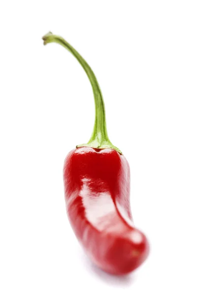 Chili peppers — Stock Photo, Image