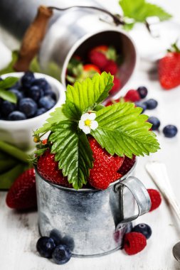 Tahta arka planda taze böğürtlen.