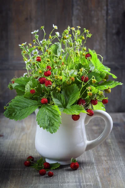 Boeket van wilde aardbei — Stockfoto