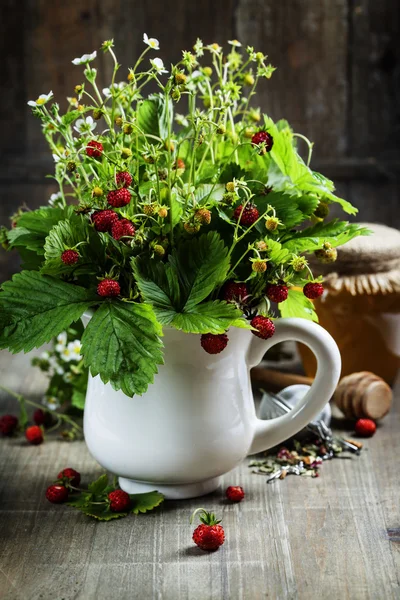 Bouquet of wild strawberry with herbal tea and honey — Stock Photo, Image