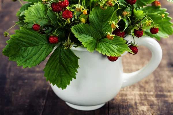 Bouquet of wild strawberry — Stock Photo, Image