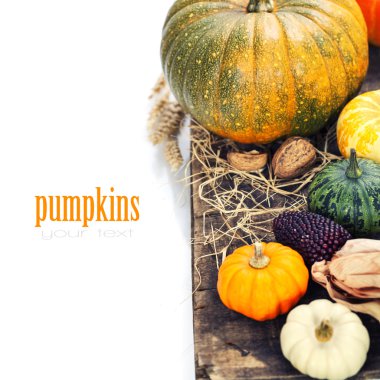 sonbahar kompozisyon