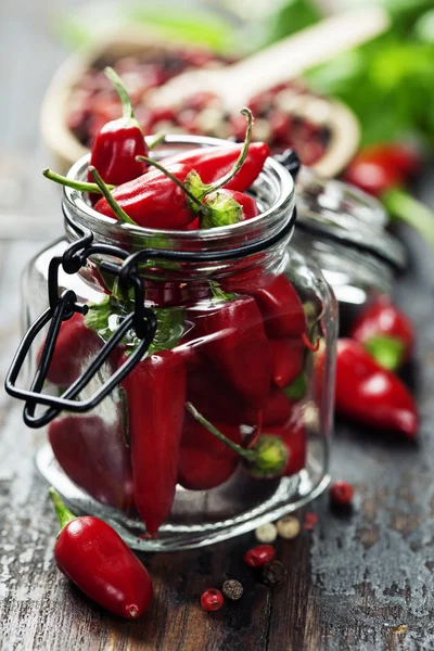 Chili peppers with herbs and spices — Stock Photo, Image