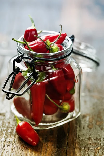 Chilli papričky — Stock fotografie