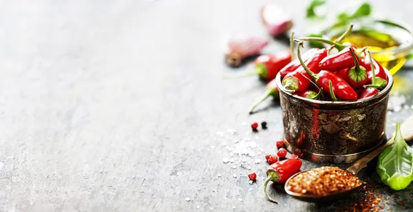 Chili peppers with herbs and spices — Stock Photo, Image