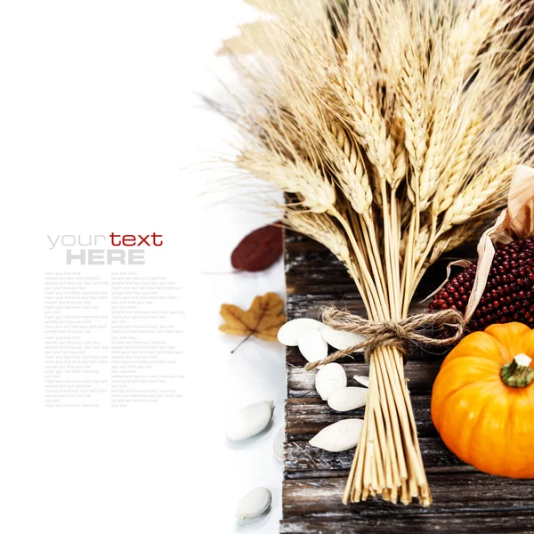 Höstens dekorationer — Stockfoto