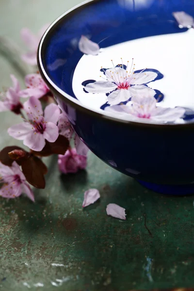 Fleurs de printemps dans un bol bleu — Photo